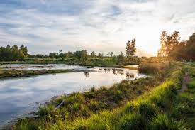 Fachpflegeeinrichtung haus am wasser moorstr. Nordkreis Diepholz Naturstrom Vor Ort