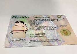 These credentials are available to residents as primary identity documents, identification card credentials are strictly controlled for both residents' personal safety and public safety, at large. Florida Id Buy Premium Scannable Fake Id We Make Fake Ids