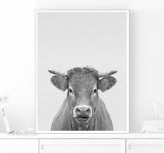 Black And White Cow Pictures To Print Cow Print Cow Wall Art Cow Printable Cow Photography Cow Etsy Cow Wall Art Cow Photography Cow Art