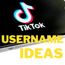 This wikihow will give you the basics of cosplaying an. 200 Tiktok Username Ideas And Name Generator Turbofuture