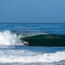 Todd Willer (@electricwooly) • Instagram photos and videos