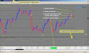 Agimat Trading System Review Forex Forex Trading Trading
