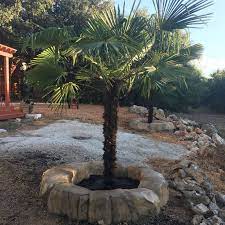 Pin By Uber Force On Www Uberforcepro Com Landscape Design Outdoor Decor Tree Trimming
