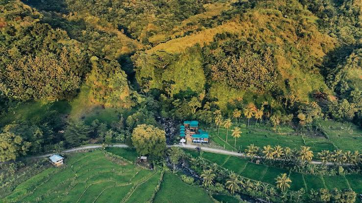 Panorama sawah luas di Bujung Mattimboe saat matahari terbenam