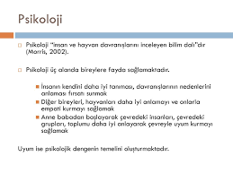 Program Gelistirmenin Temelleri Ppt Indir