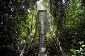 Check the skyscanner website for the full schedule and prices of incoming and outgoing flights. Khao Yai National Park Thailand Living Nomads Travel Tips Guides News Information