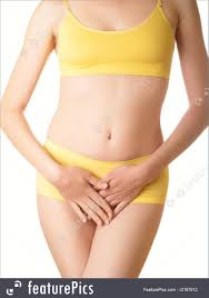 Most women's bodies are pear shaped as women tend to gain lower body weight, especially after marriage. Human Body Parts Woman Body Stock Picture I2187912 At Featurepics