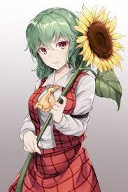 pin de josh em yuuka kazami touhou project 東方ｐｒｏｊｅｃｔ anime