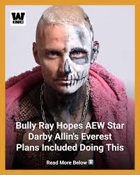 WWE Hall of Famer Bully Ray hopes that Darby Allin was not forgetting his  promotional duties to AEW, while