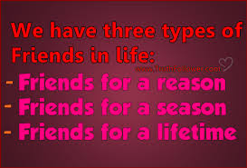Quotes About Different Types Of Friends 17 Quotes