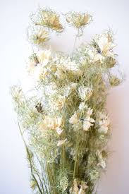Antlers, birch poles, wood slices, and much more. Dried Flower Bunch White Nigella Love In A Mist Bulk Daisyshop