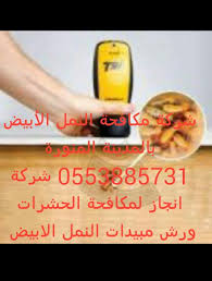 شركة مكافحة حشرات بالمدينة المنورة نتائج البحث Engaz Places To Visit Visiting Jbl