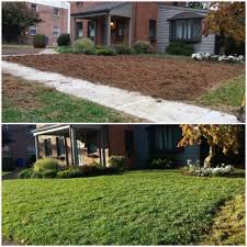 We did not find results for: Pin By Central Sod Farms Inc On Diy Sod Before After Photos Outdoor Decor Before After Photo Farm