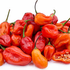 African Chili Peppers