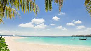 Baik itu gambar lucu keren dan unik. Virtual Background Background Zoom Hd Novocom Top