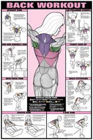 Co Ed Back Workout Professional Fitness Gym Wall Chart