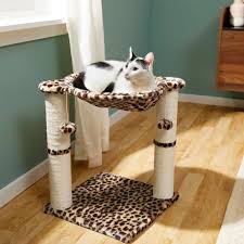 Getting a cat condo with hammock is a great investment for kitty's comfort. The Best Cat Hammocks For Your Kitty To Sack Out In