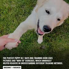 See more of how to train your puppy in 7 days on facebook. 10 Best Dog Training Books Positive Reinforcement Obedience Faqs
