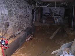 Jourdan townsend has been writing since childhood. Renovating A 100 Year Old Basement Raam Dev