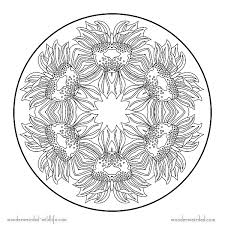 The basic form of most mandalas is a circle in which are depicted symbolic gates of the cosmos. Pin On Coloring Pics