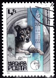 Laika died on the fourth orbit due to overheating caused by an air conditioning malfunction. Dphj Forum X Thema Anzeigen Sputnik 2