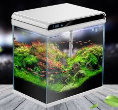 Sri lanka is a less common type of crypt that comes from sri lanka as the name implies. Led Light Aquarium Up Filter Fish Tank Buy Led Light Aquarium Fish View Fish Tank Led Aquarium Lighting Product On Alibaba Com