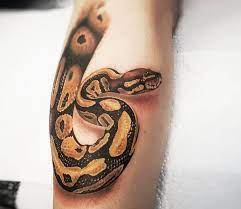 Oct 15, 2020 · white ball python. 16 Best Python Tattoo Design Ideas Petpress