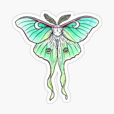 Luna Moth Art Stickers for Sale | Redbubble