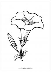View all coloring pages from flowers category. Flower Coloring Pages Plant Tree Coloring Pages Leaf Coloring Pages Free Printables Coloring Sheets Megaworkbook