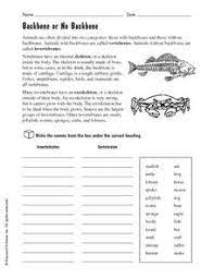 This page has science worksheets and printable activities for teaching your students about invertebrates (animals without a backbone). Vertebrate And Invertebrates Lesson Plans Worksheets
