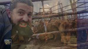 Dateline Jerusalem: The Coming Temple