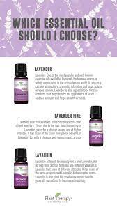 Lavender Vs Lavender Fine Vs Lavandin Everyday Essentials Plant Therapy Essential Oils Essential Oil Blends Recipes Plant Therapy