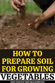 Prepare Soil For Planting Vegetables Garden Soil Planting Vegetables Growing Vegetables