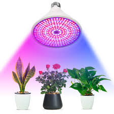 Garden pests can't get at your plants, and you have total control over as the plants grow, raise the light fixture accordingly to maintain the optimal distance, which varies depending on the type of bulb used and its. Led Double Head Supplement Bulb Plant Grow Light For Indoor Plants Buy Grow Light Indoor Plants Grow Light Bulb Plant Grow Light Product On Alibaba Com