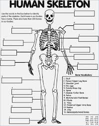 2) use the cornea and lens patterns to cut these parts out of thin plastic. Free Printable Skeleton Coloring Pages For Kids