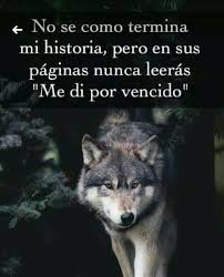 Pin de cristina freitas en Lobo  Lobos enamorados Frases de