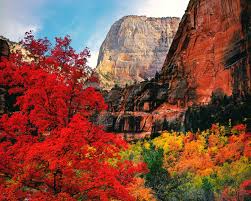 Zion national park view from the observation point (i.imgur.com). Zion National Park