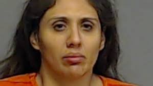 Woman sentenced to prison for meth charge