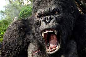 Shop for king kong at best buy. King Kong New Zealand