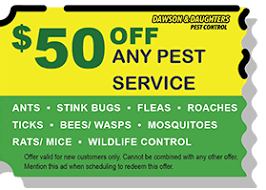 New castle is a city in new castle county, delaware, united states, six miles (10 km) south of wilmington, and situated on the delaware river. Pest Control In New Castle De Dawson Daughters