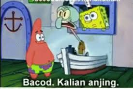 Itulah kumpulan gambar tokoh kartun berbagi. Spongebob Squidward Gif Spongebob Squidward Bacot Discover Share Gifs In 2021 Spongebob Squidward Spongebob Squidward