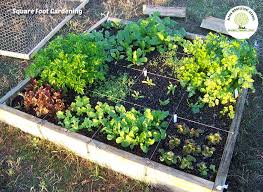 Square foot gardening is a popular gardening method that is a neat and organized way of expanding your garden. Square Foot Gardening Planting Guide Montessori Outdoors Alpha Montessori School