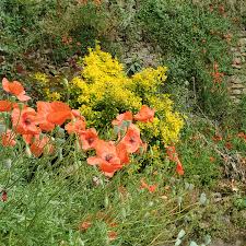 Marty Baird (@martybairdprojects) • Instagram photos and videos