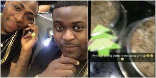 My dogs eat better than some of you -Davido's brother tells fans