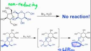 What Are Reducing Sugars? – Master Organic Chemistry