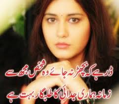 Pin On Beautiful Rose Flowers