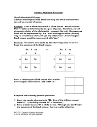 What is the probability of getting homozygous offspring? Genetics Problems Worksheet Simple Monohybrid Crosses A Simple