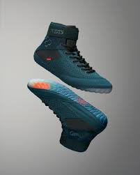 Image result for Coddia rudis