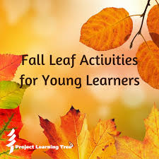 Acs reactions explains more why leaves change color. Leaf Activities For Young Learners Project Learning Tree