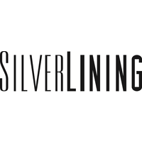 Silverlining Inc Linkedin